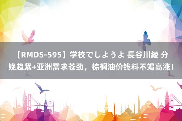 【RMDS-595】学校でしようよ 長谷川綾 分娩趋紧+亚洲需求苍劲，棕榈油价钱料不竭高涨！