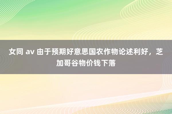 女同 av 由于预期好意思国农作物论述利好，芝加哥谷物价钱下落